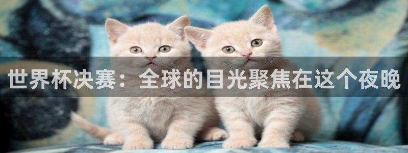 世界杯官网入口:世界杯决赛:全球的目光聚焦在这个夜晚
