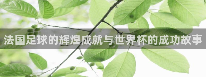 世界杯预选赛欧洲区赛程:法国足球的辉煌成就与世界杯的成功故事